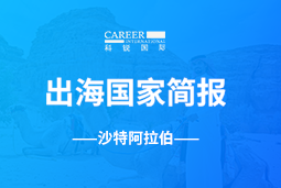 美狮贵宾ms092021官网GO GLOBAL | 沙特阿拉伯国家简报